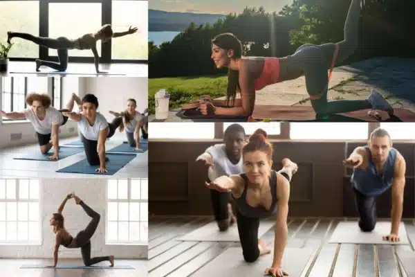 Bird Dog Exercise benefits