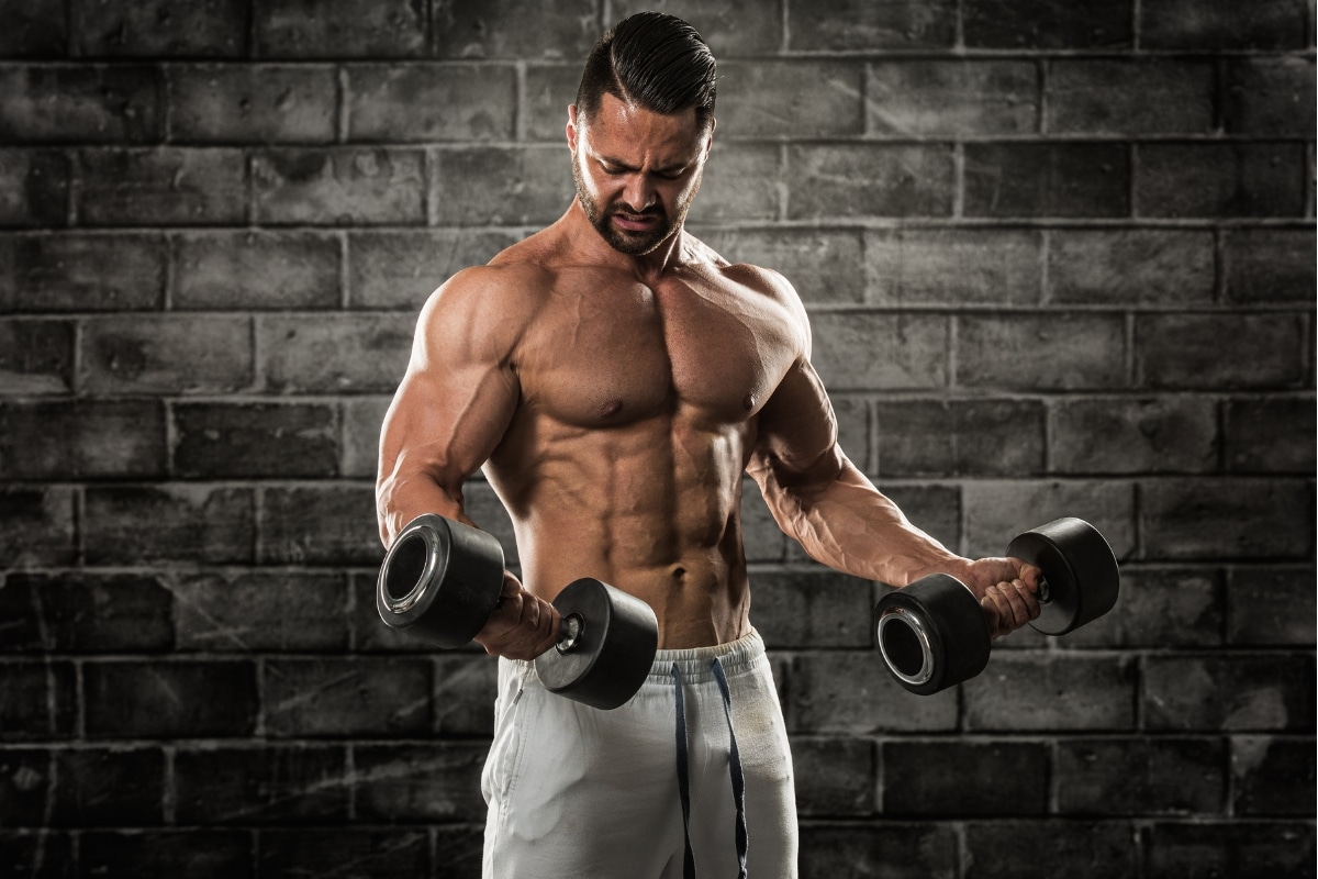 What Is the Best Workout Program to Gain More Muscle Mass