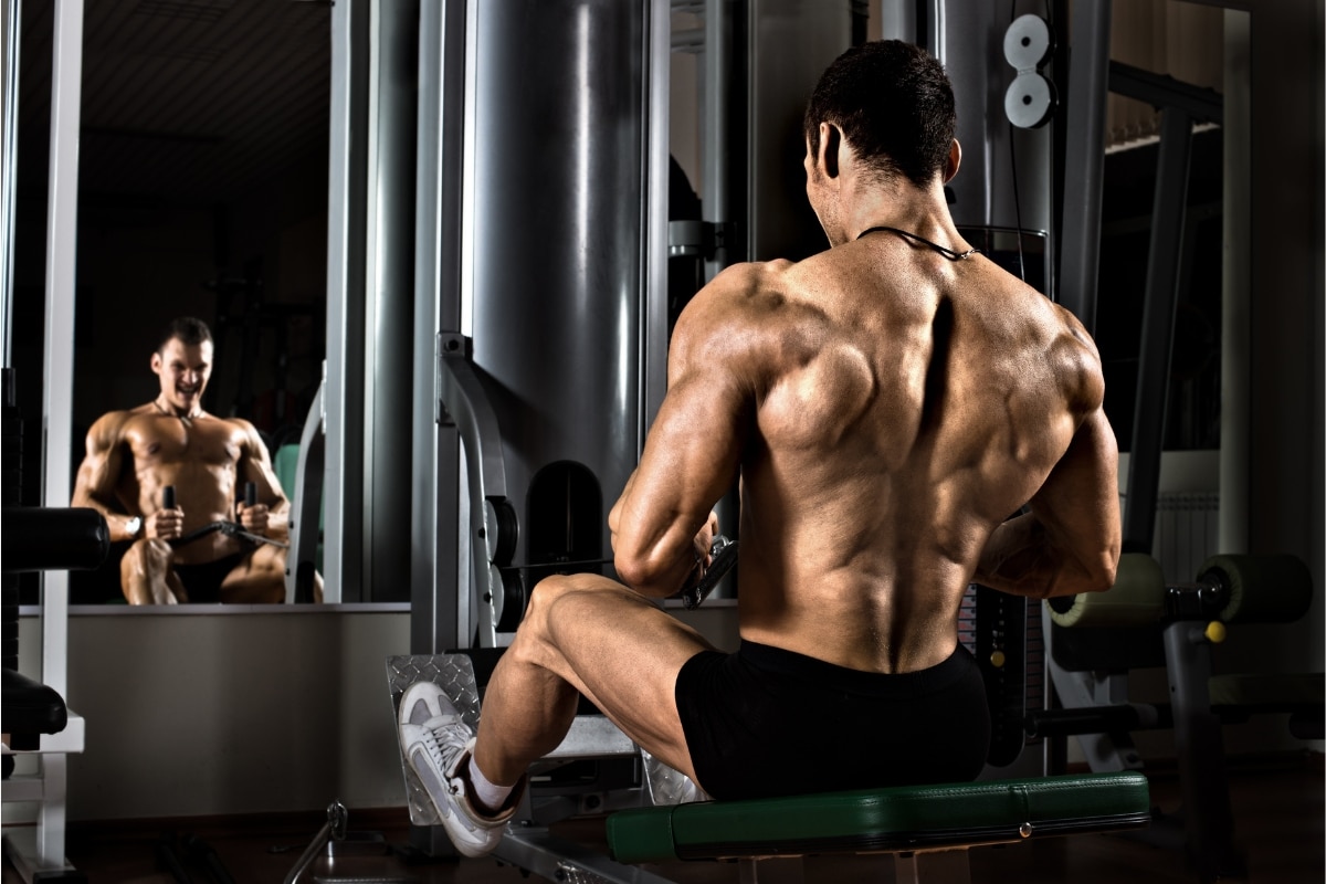 The Difference between Bodybuilding and Powerlifting