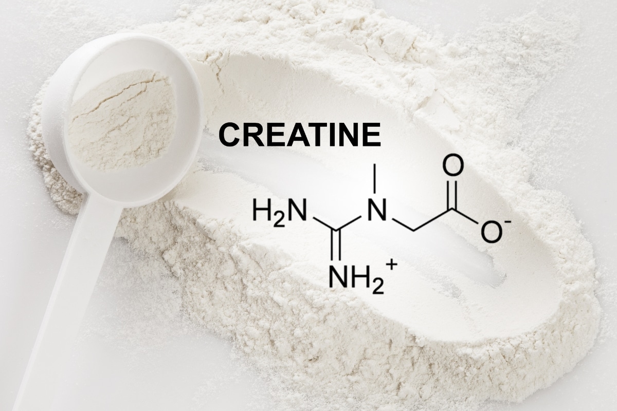 A Guide to Post-Workout Supplements for Muscle Gain