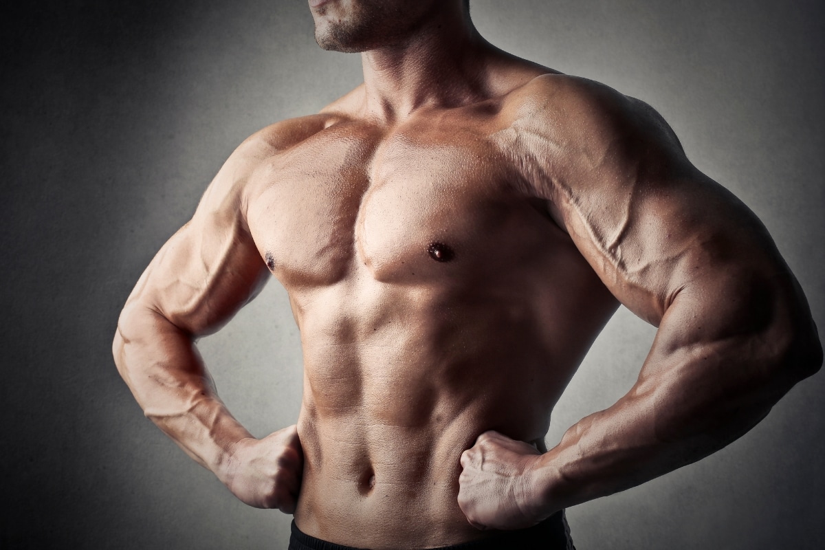 Get the Most Out of Your Muscle Exercise Routine