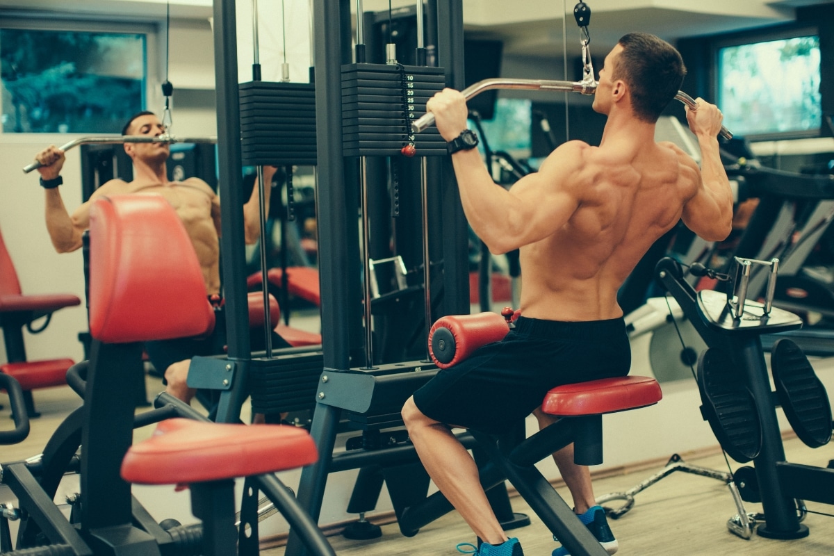 How to Build Back Muscles with a Gym Workout