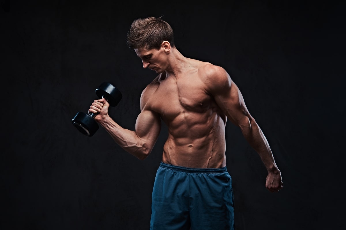 A Comprehensive Guide to Bicep Workouts