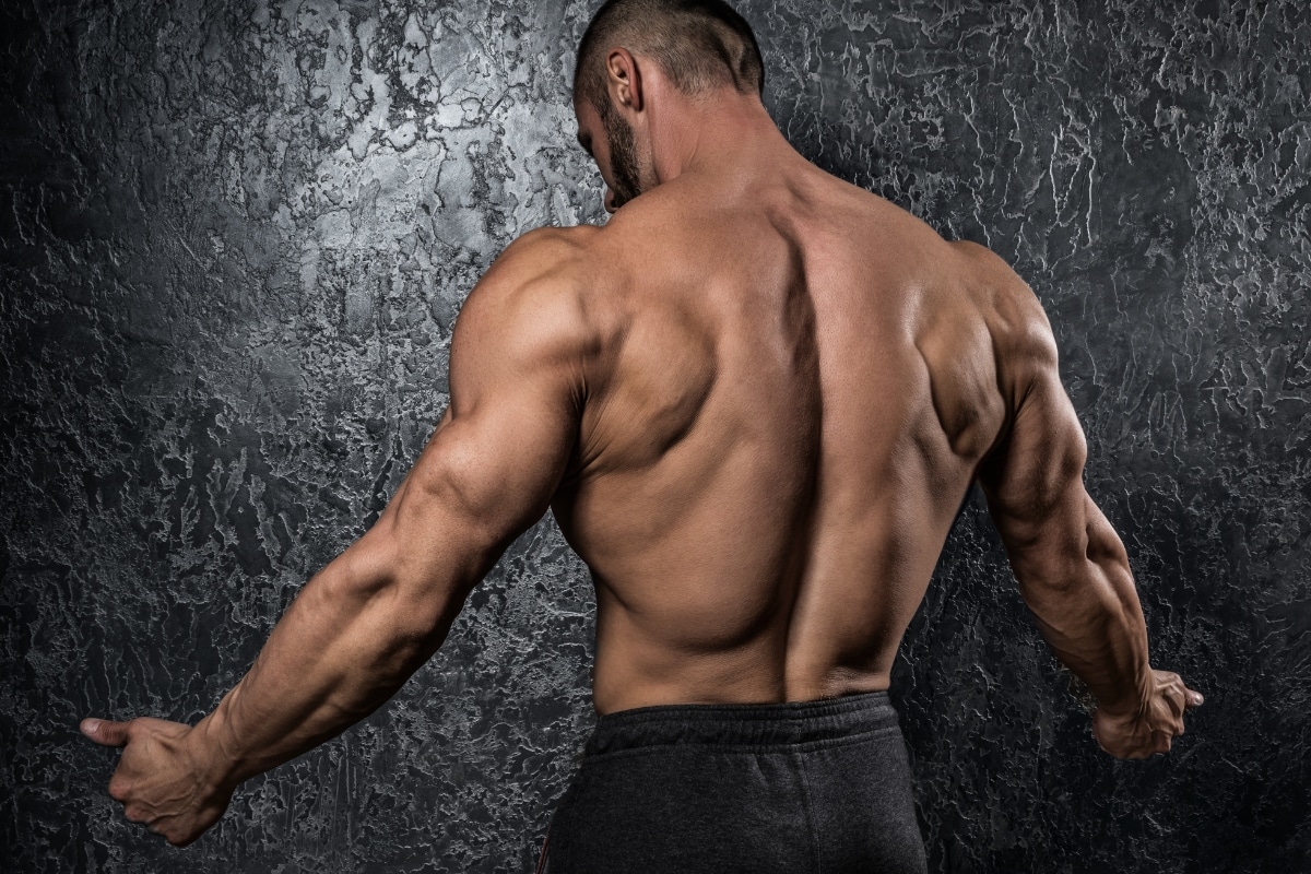 Dumbbell Back Workout - A Simple But Effective Plan!