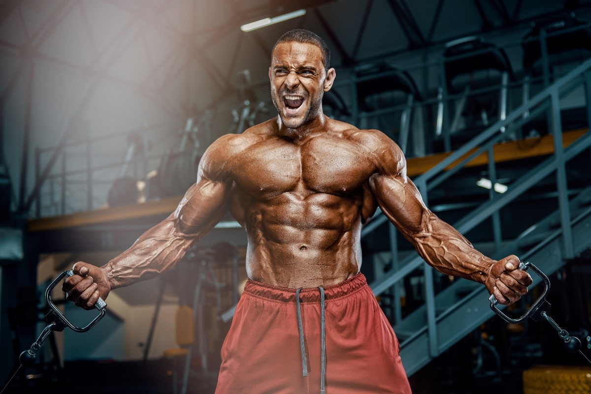 How to Create an Effective Bodybuilding Program