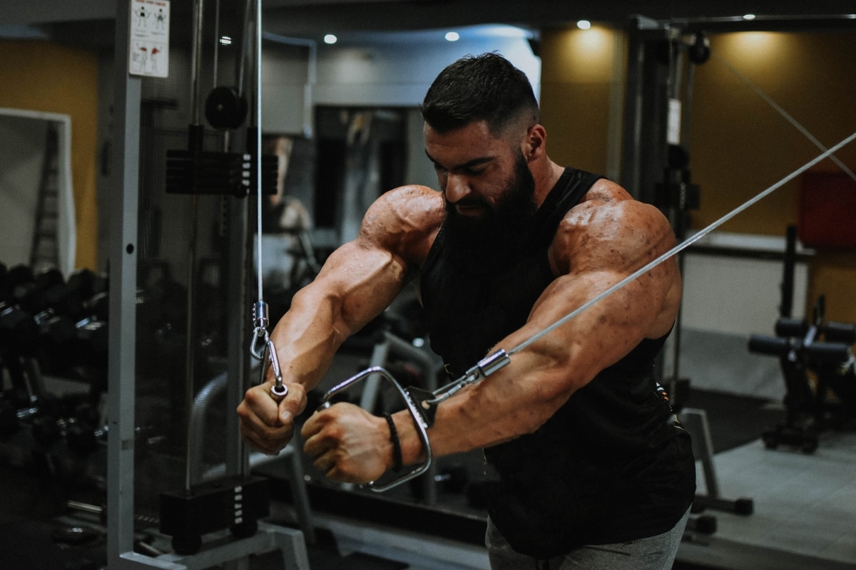 How to use a bodybuilding calculator