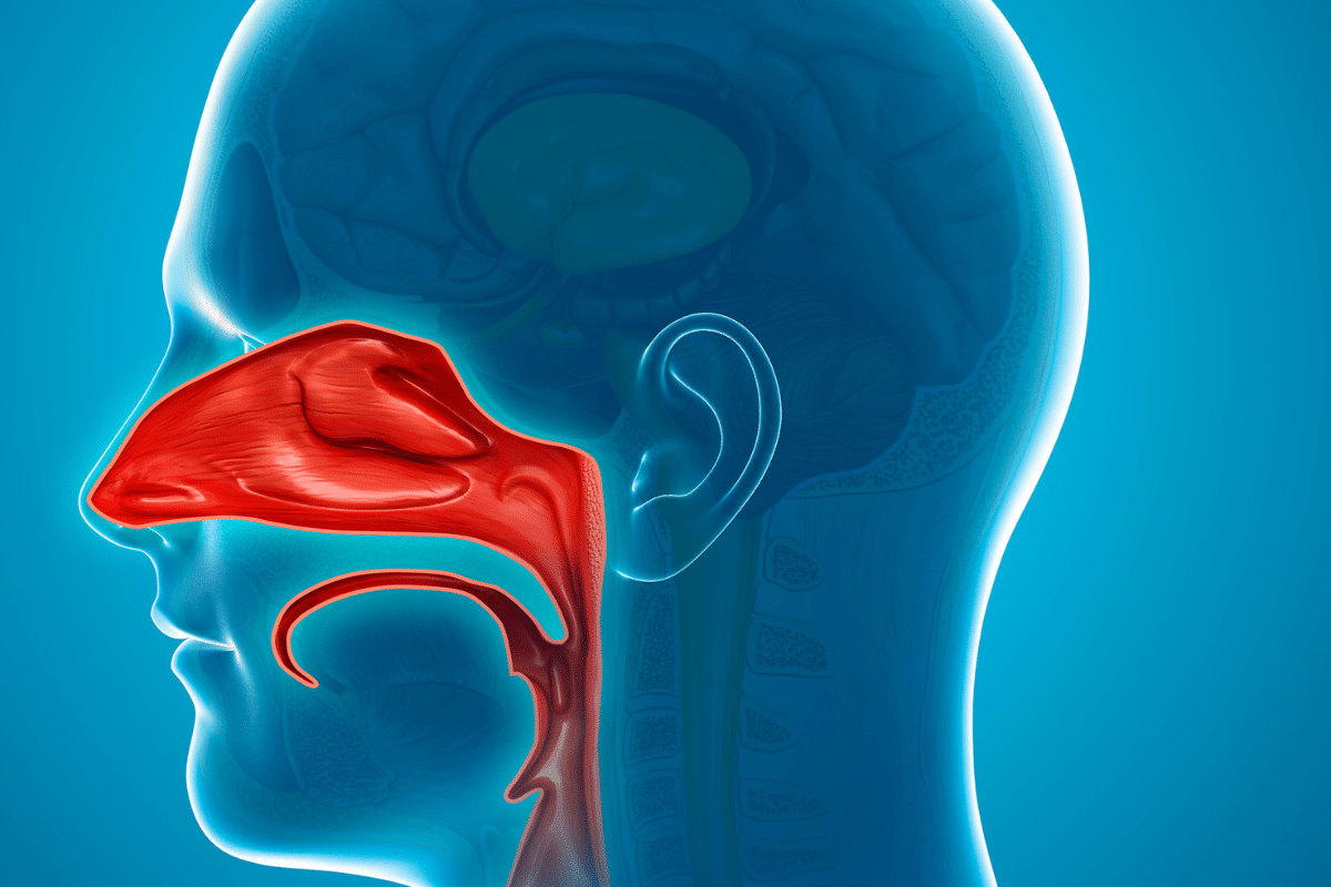 The Benefits of Nasal Breathing for Athletes