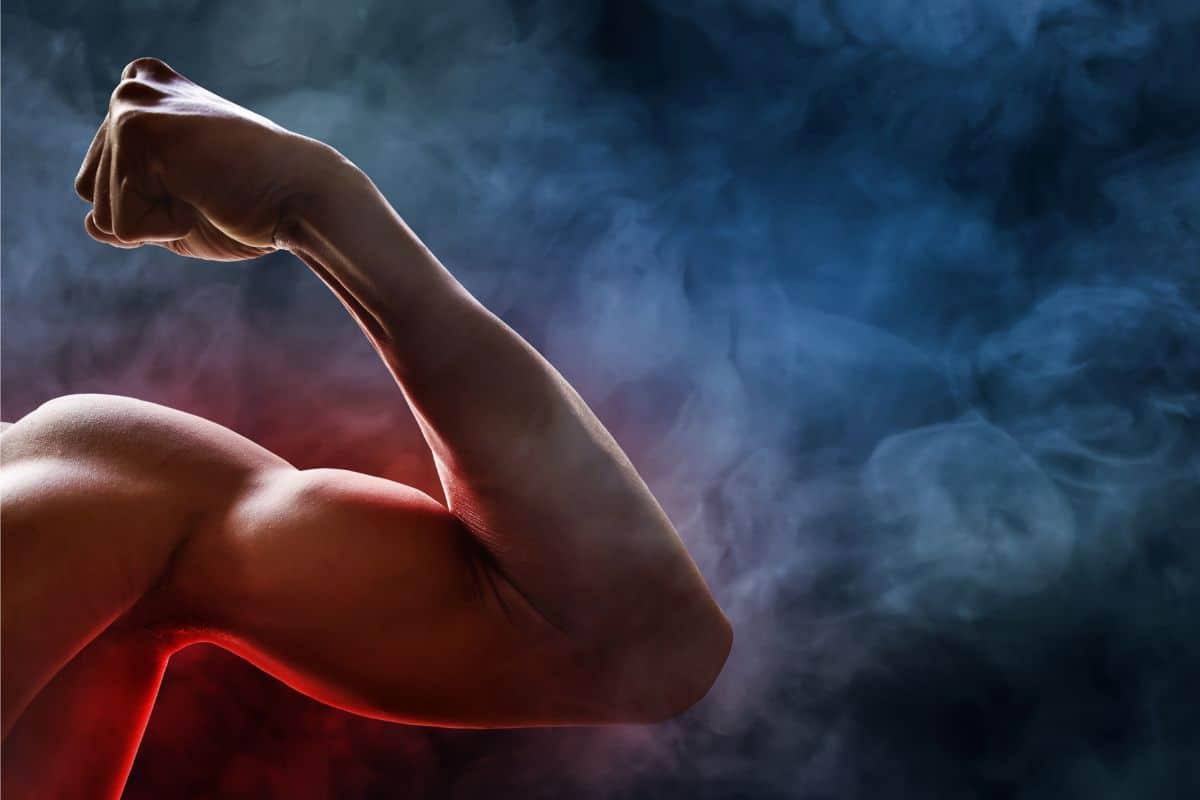 5 Ways to Build Muscle According to Scientific Research