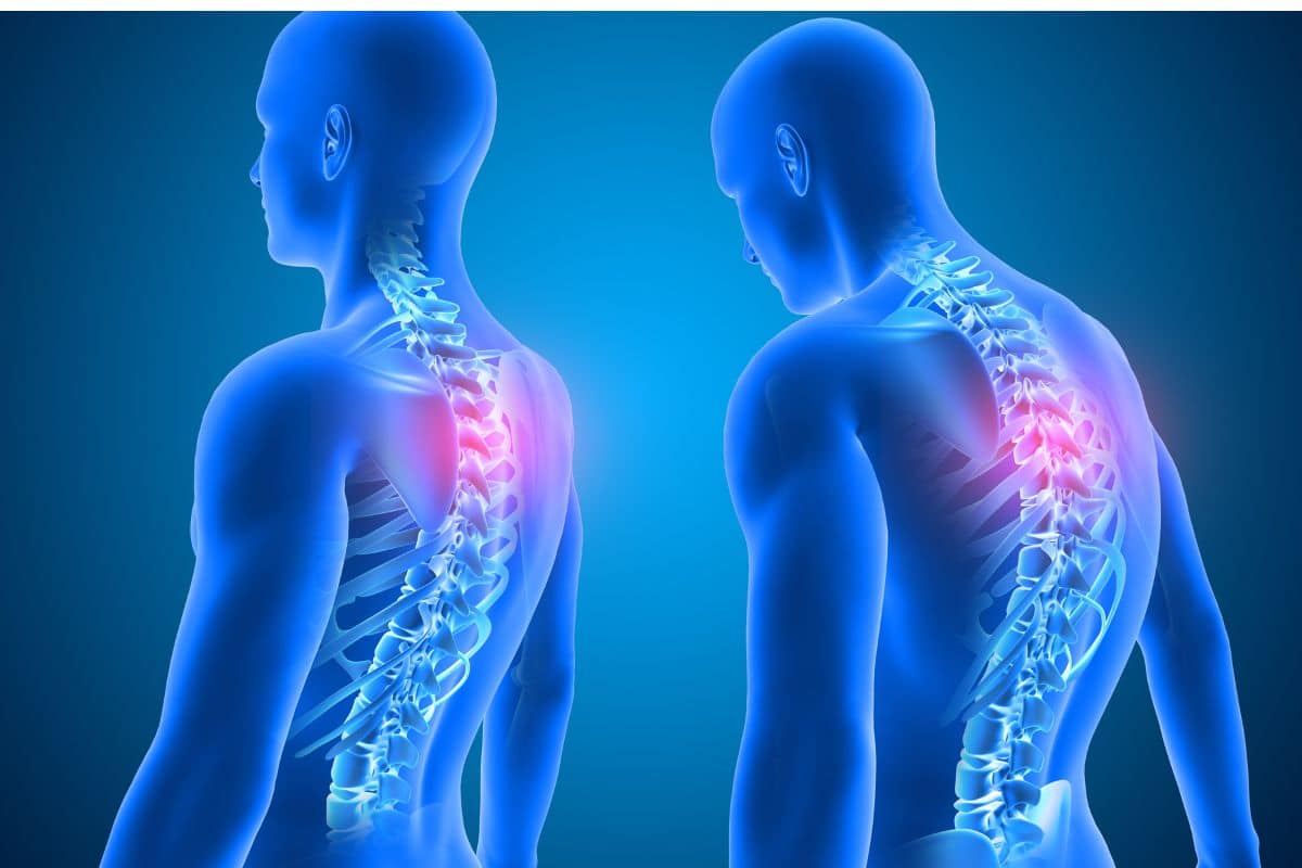 How Poor Posture Is Destroying Your Metabolism and Skeletal Muscle Systems