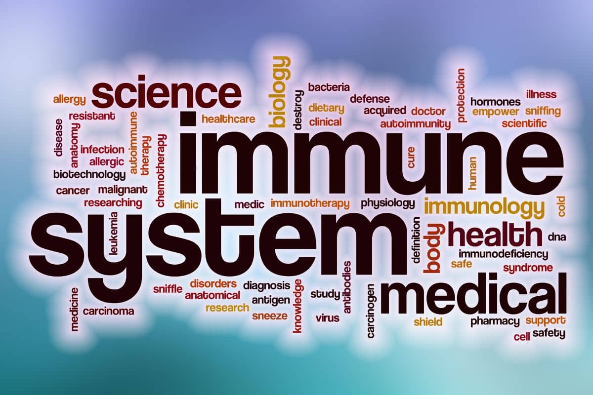 Kratom And Immune System: What To Know