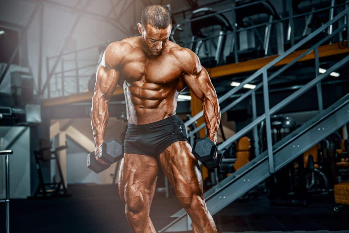 High-Intensity Theory and Recoverability: Key to Muscle Growth