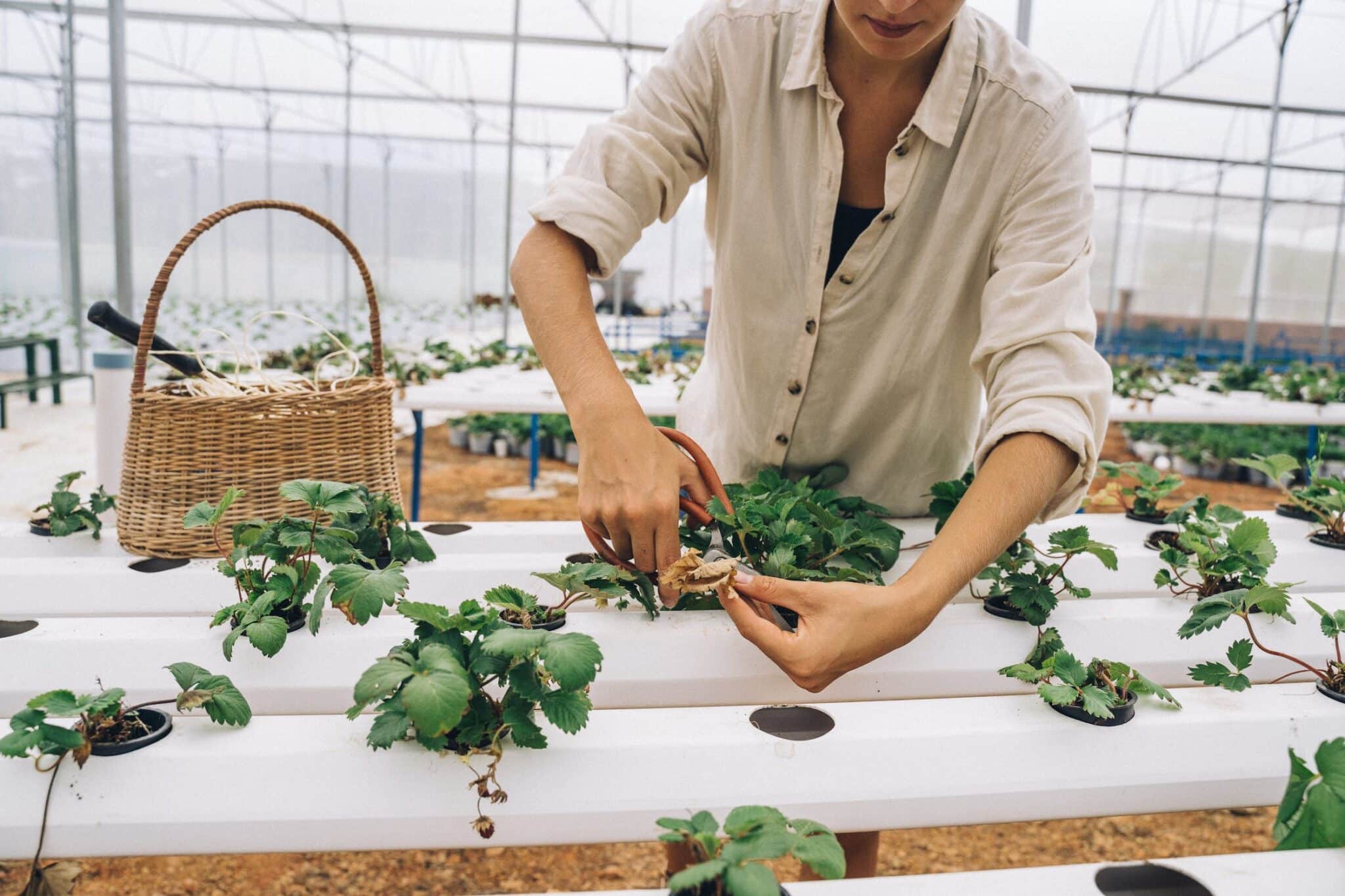 Green Therapy: How Nature-Based Therapy Can Promote Both Sustainability And Wellness