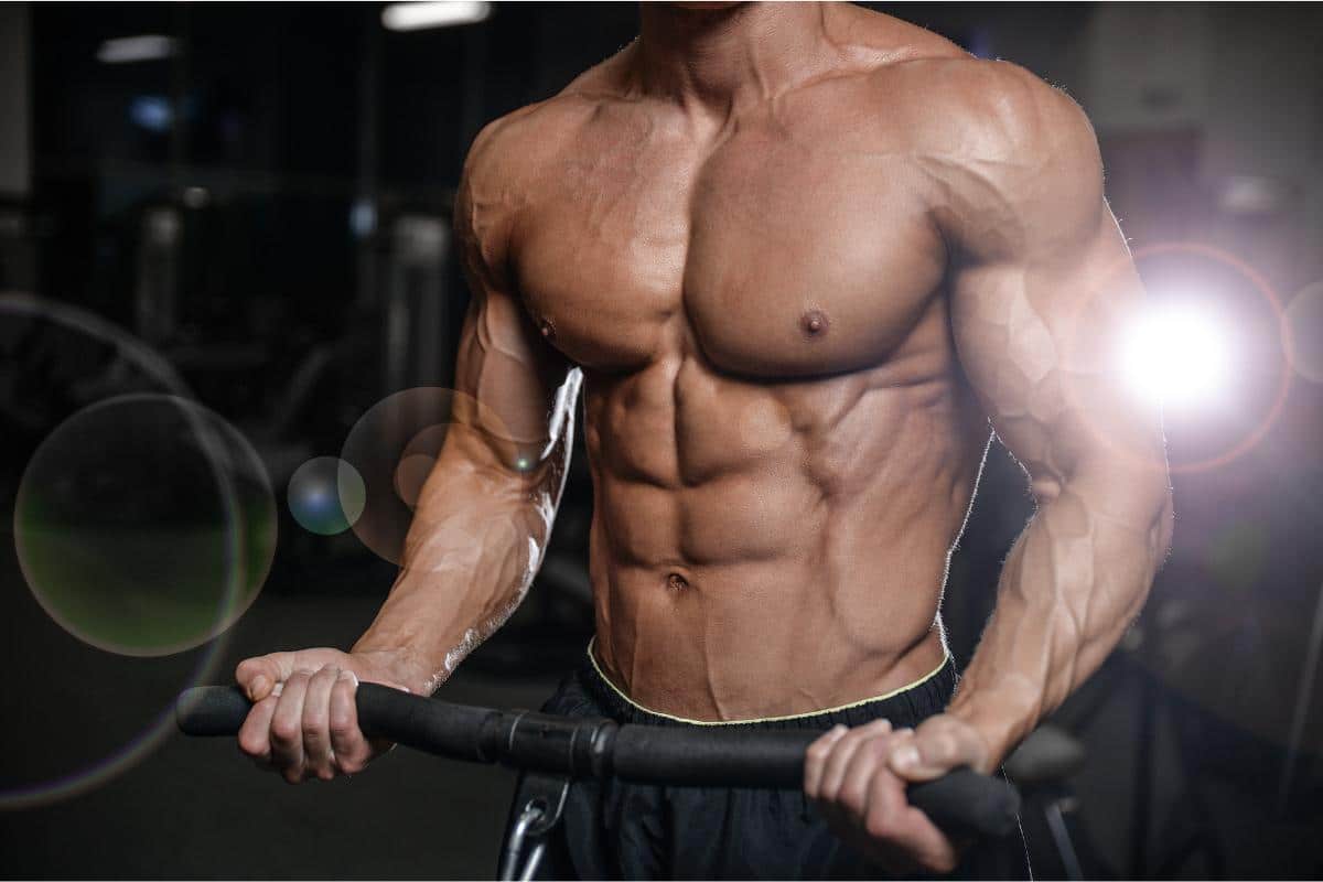 How Many Pounds of Muscle Can You Gain in a Month?