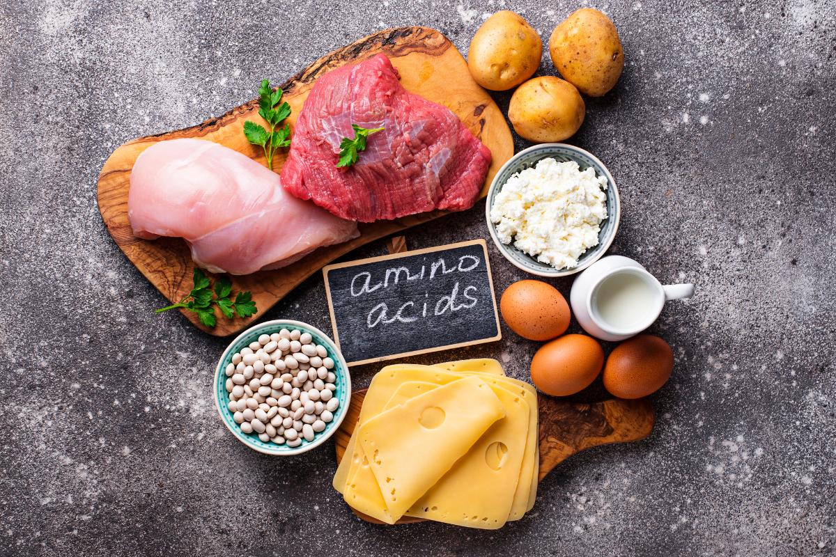 Meals for Bodybuilders to Optimize Muscle Gains