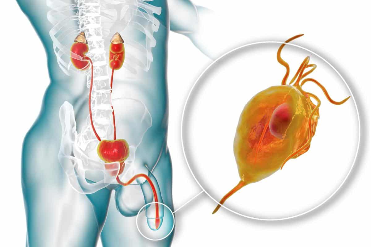 Unlocking Prostate Health with an External Prostate Massage