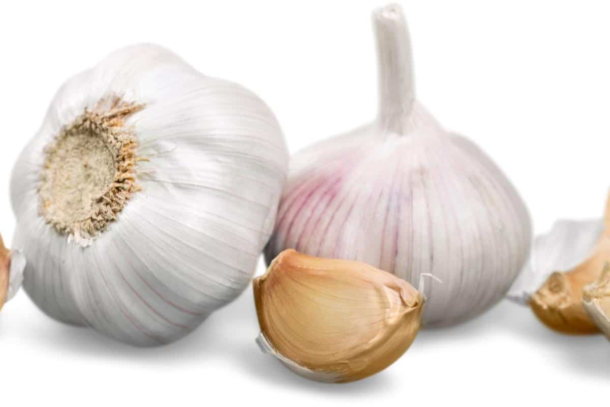 Garlic: Unveiling The Mighty Fitness Wonder