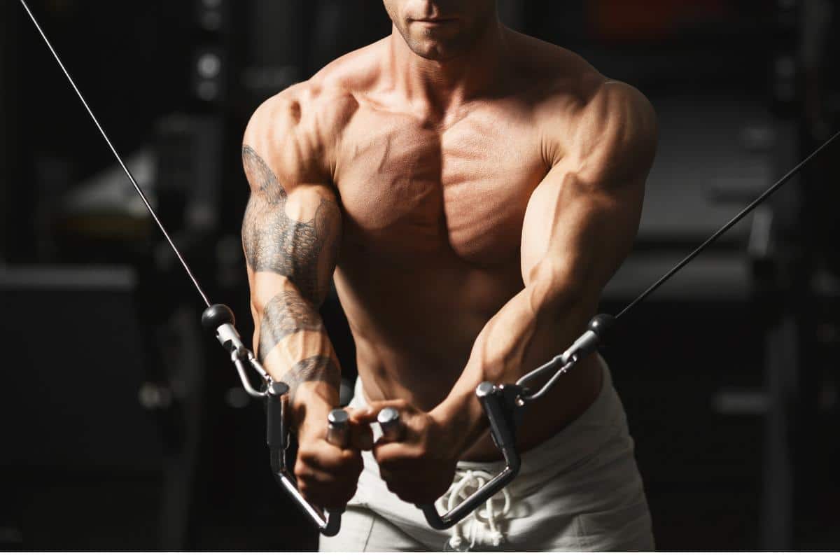 Arnold’s Classic Workouts: Replicating a Champion’s Routine