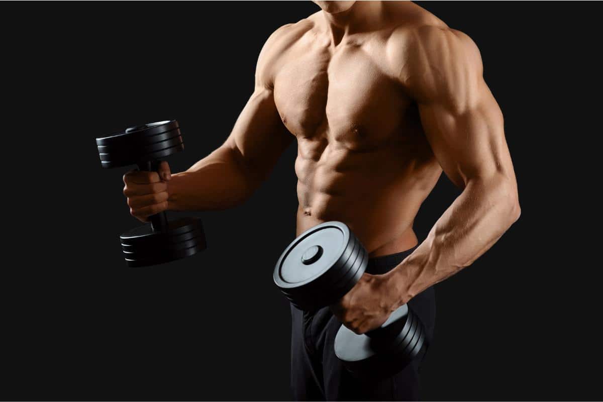 Decoding the Schwarzenegger Split: Blueprint of a Bodybuilding Routine