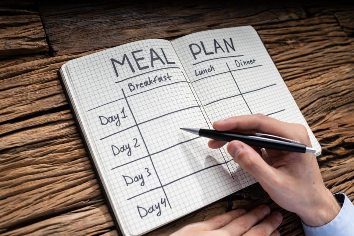 Examining Arnold’s Nutrition: Blueprint of a Bodybuilding Champion