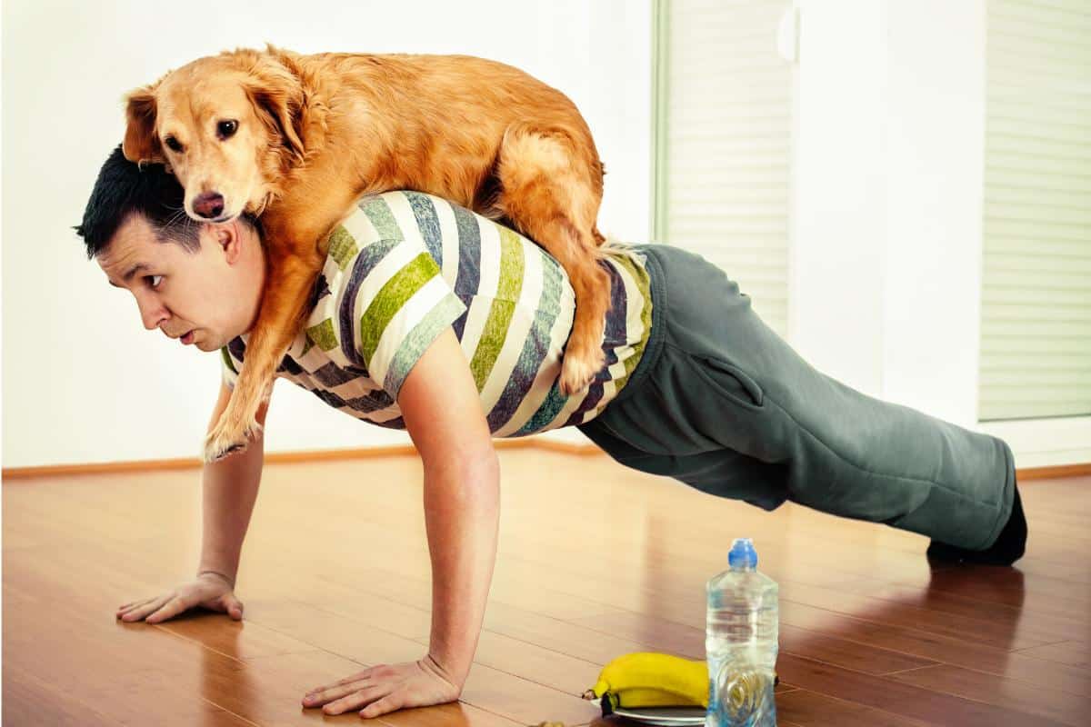 Easy Exercise Tips to Make Your Workouts More Effective