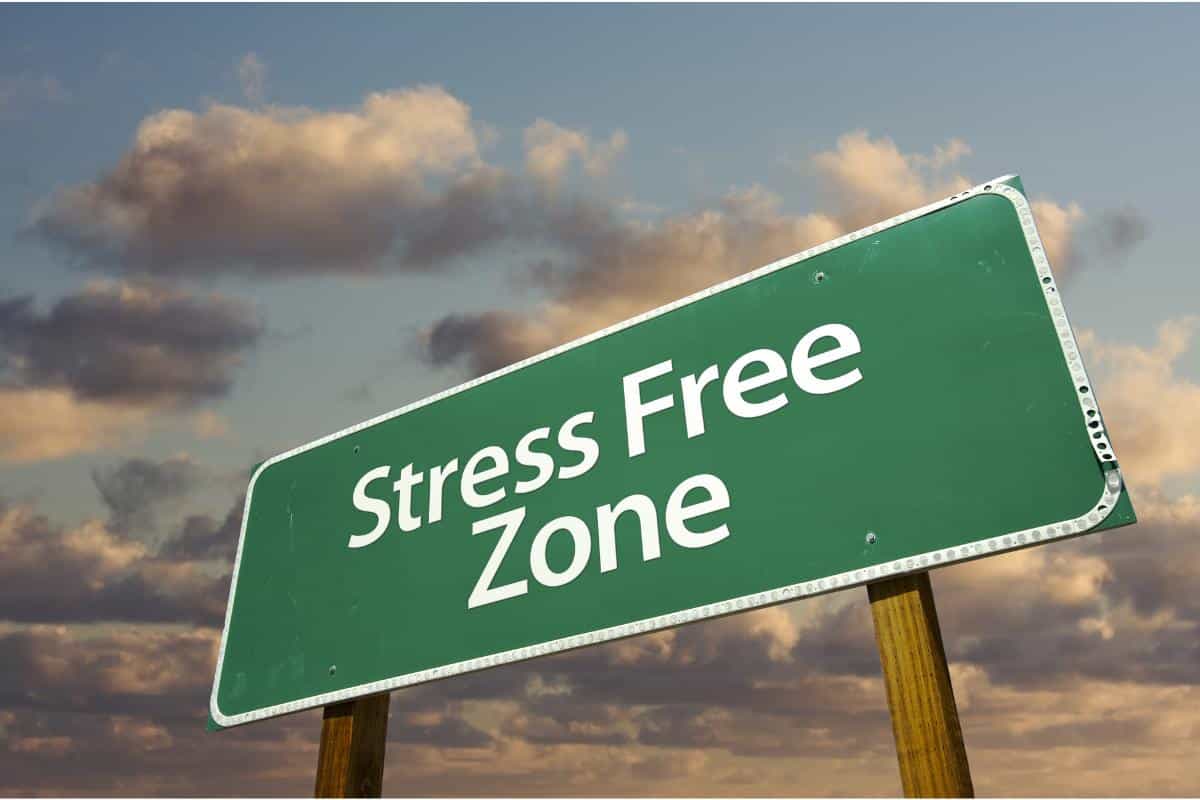 Stress-Free Holidays - A Guide to Budgeting and Health