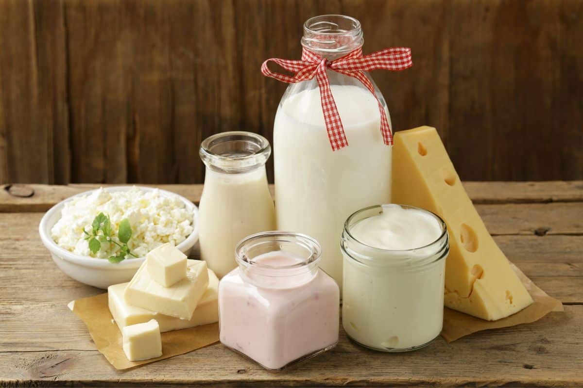 healthy cheese