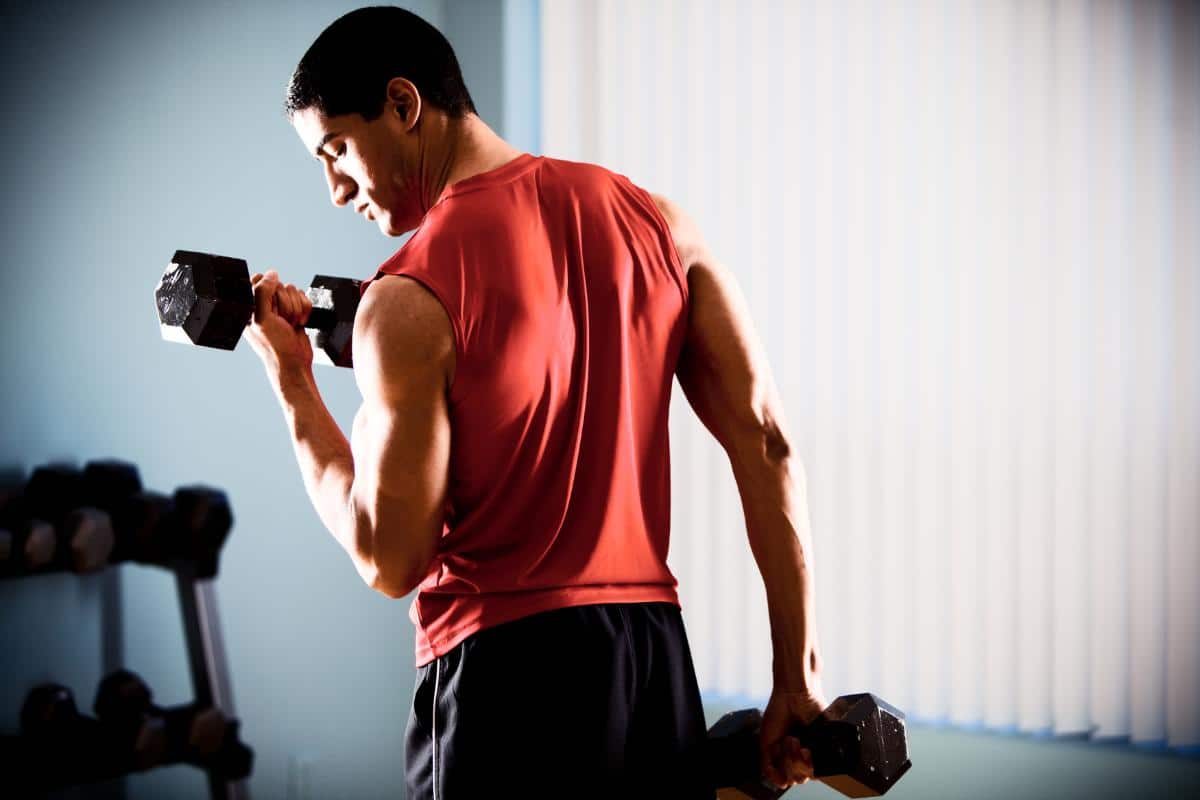 Accelerating Muscle Gain Optimizing Exercise for Rapid Results