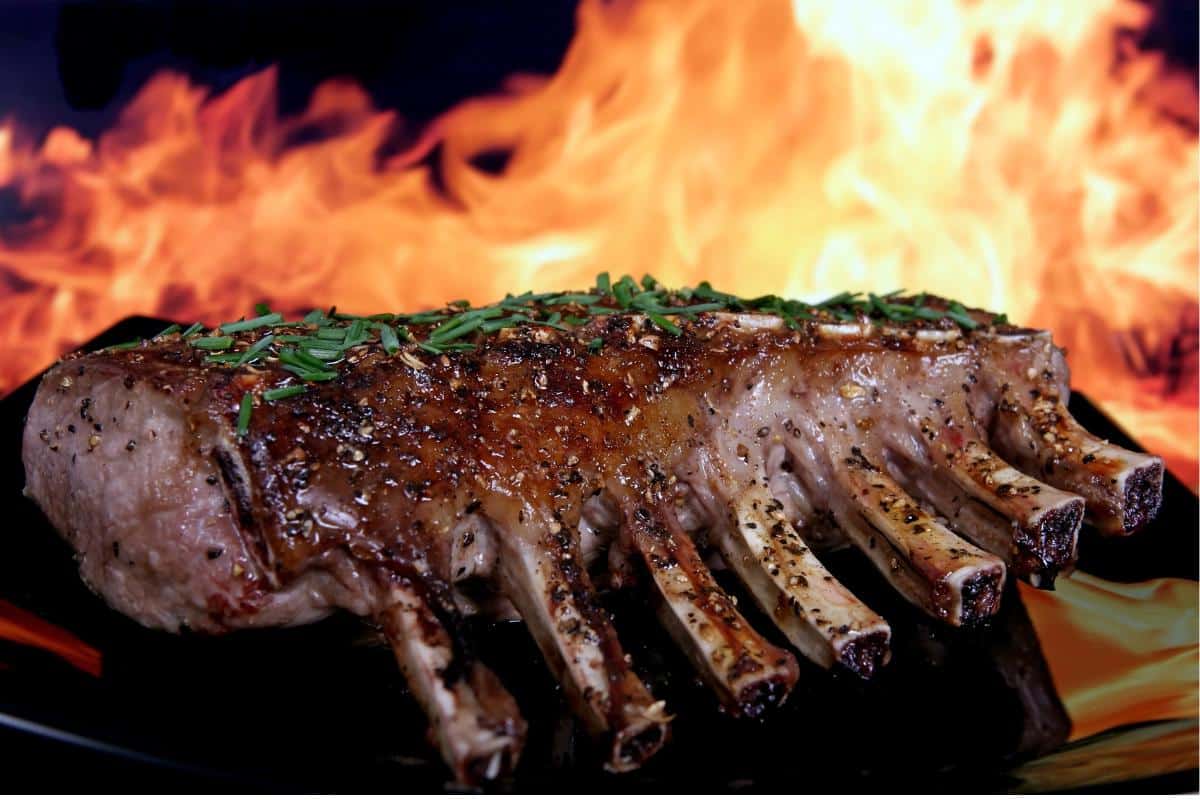 Eating to Burn Body Fat and Enhance Longevity
