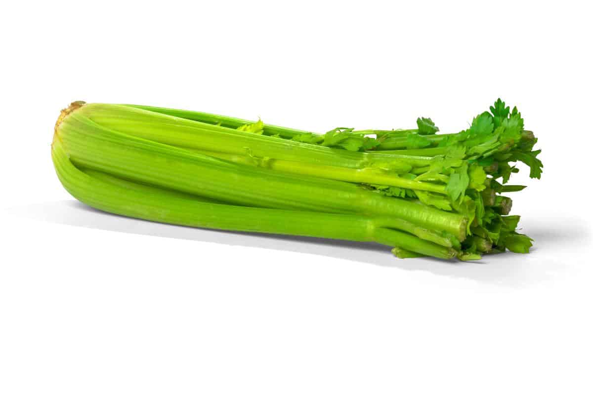 Net Zero Calorie Food