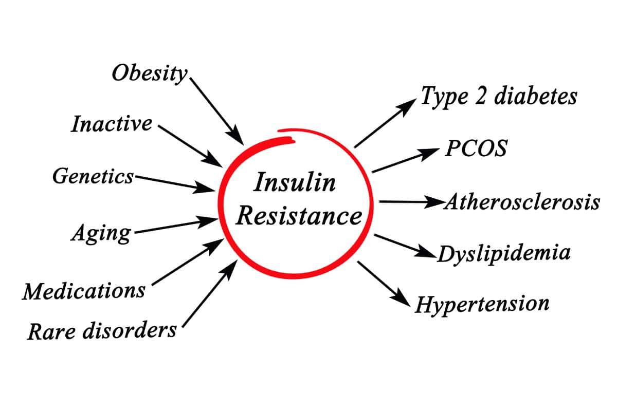 Unlocking Balance The Optimal Diet for Managing Insulin Resistance