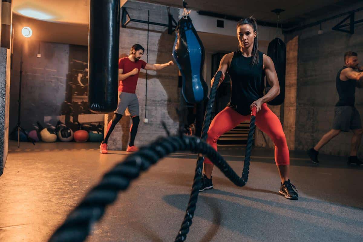 V Shred’s Approach to Muscle Building: