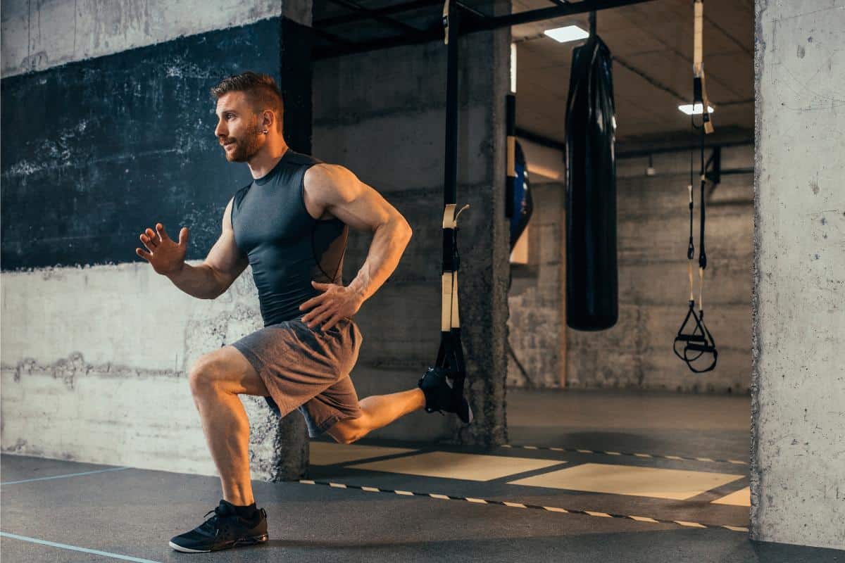 Balance in Muscle Growth