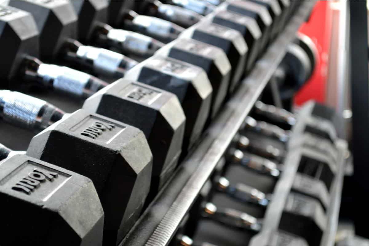 Build Muscle without Living in the Gym: A Man's Guide