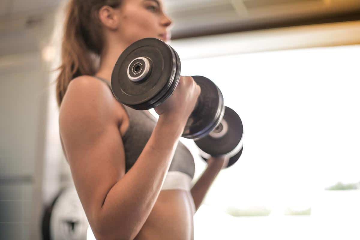Focus on Muscle Isolation Lifts Explained