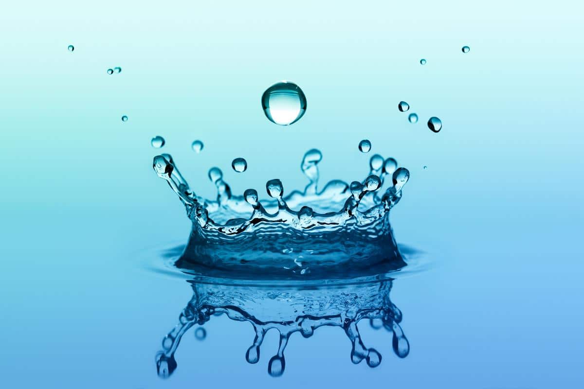 The Role of Water in Converting Body Fat into Energy: A Fitness Guide