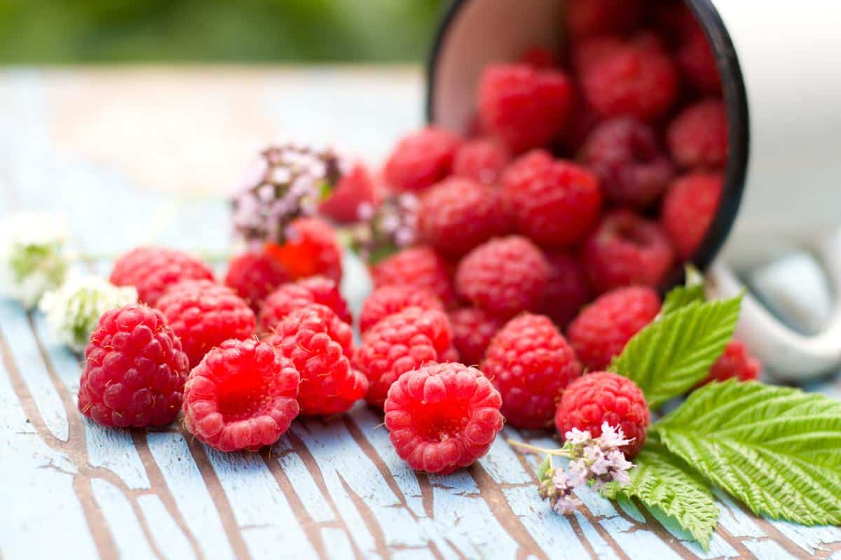 Top 10 Fiber Foods for Work Weight Loss