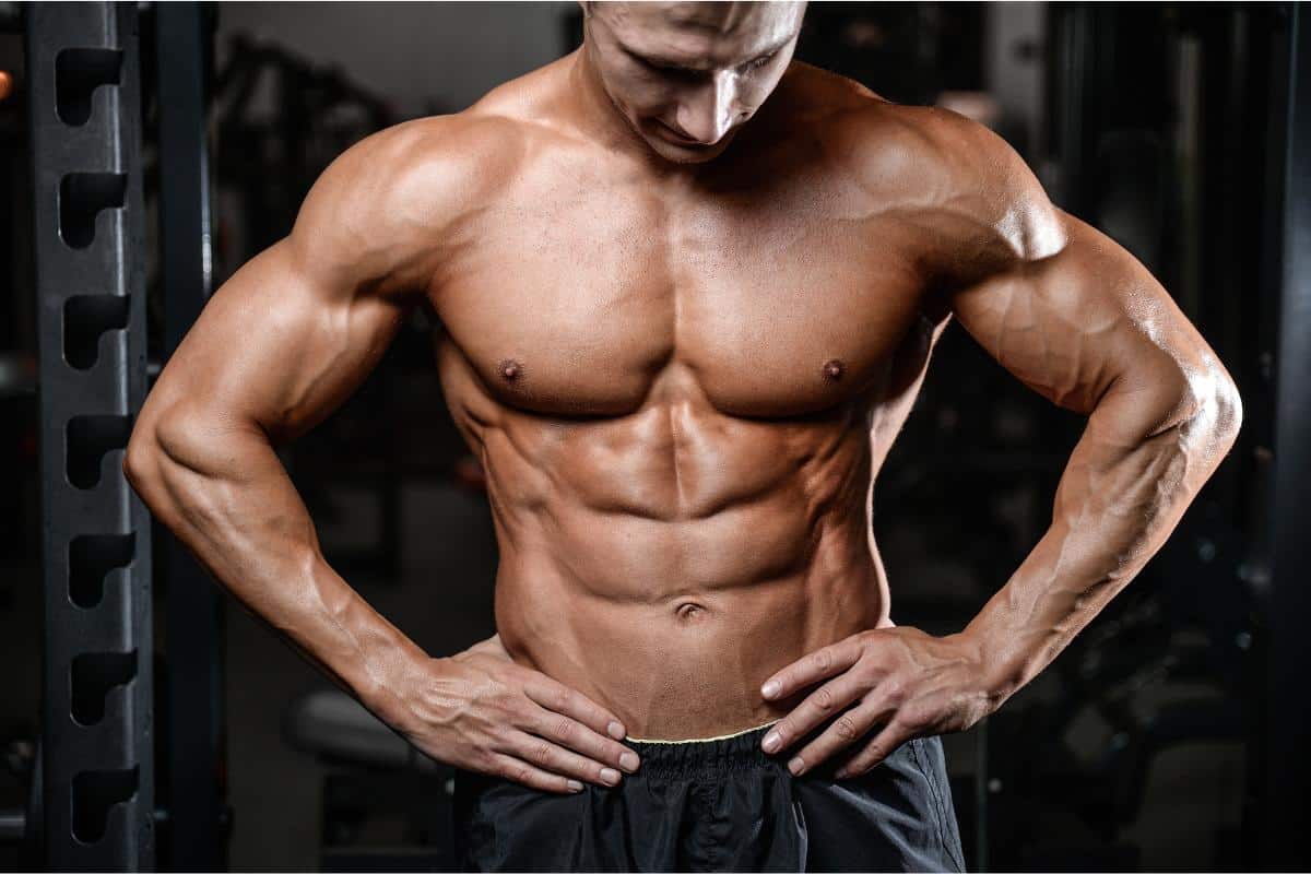 Top Power Training Exercises for Optimal Muscle Gains