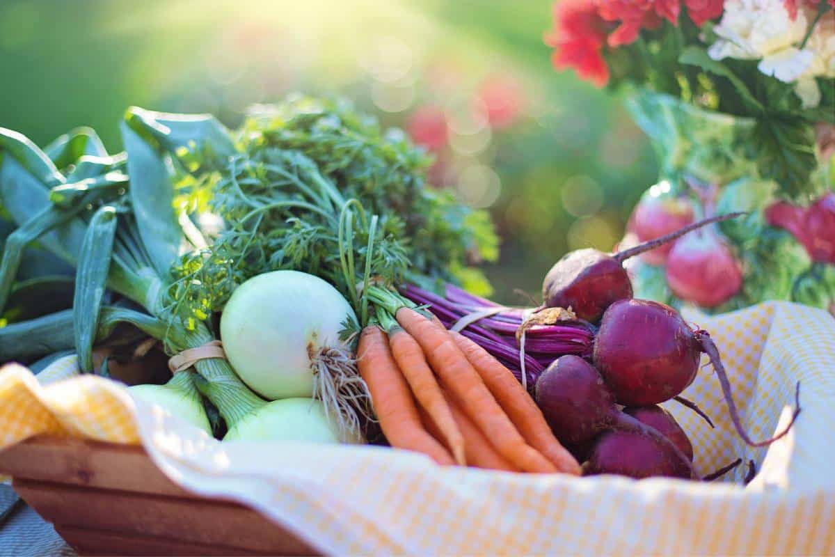 Vegetables Your Secret Weapon in Achieving Health and Fitness Goals