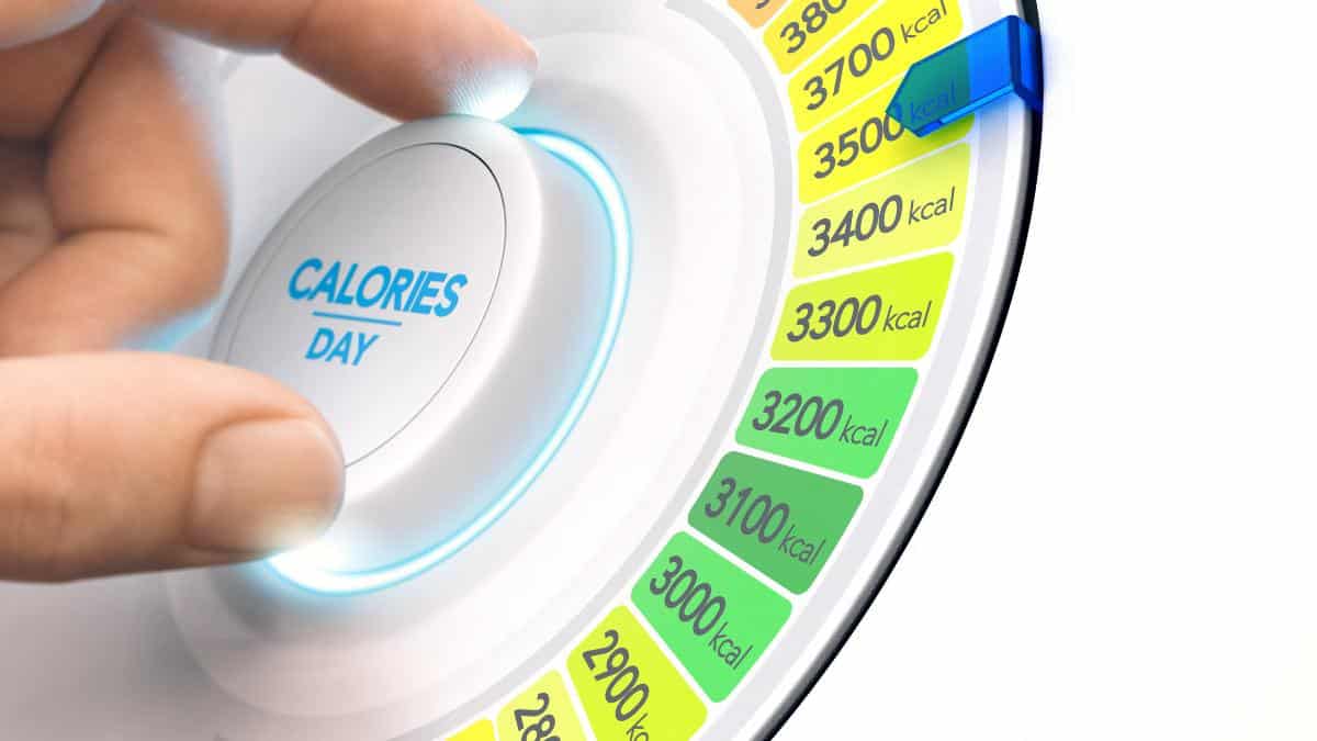 Post-Bariatric Surgery: High-Calorie, Low-Volume Foods for Weight Management