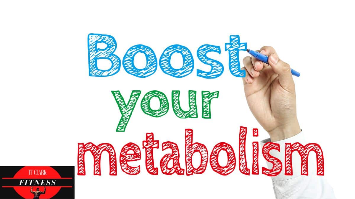 Understanding Your Metabolism: The Engine of Life