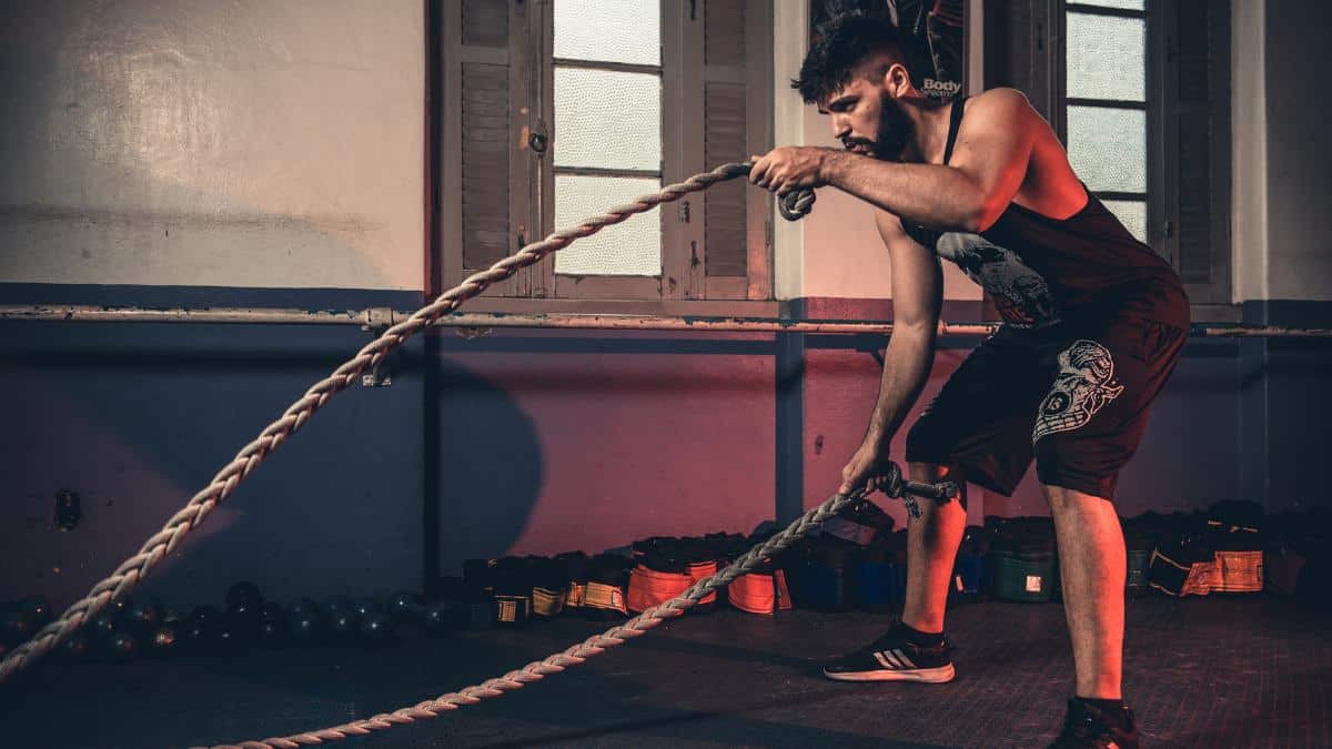 Unlocking the Secrets of Muscle-to-Fat Ratio: A Guide to Sculpting Your Ideal Physique