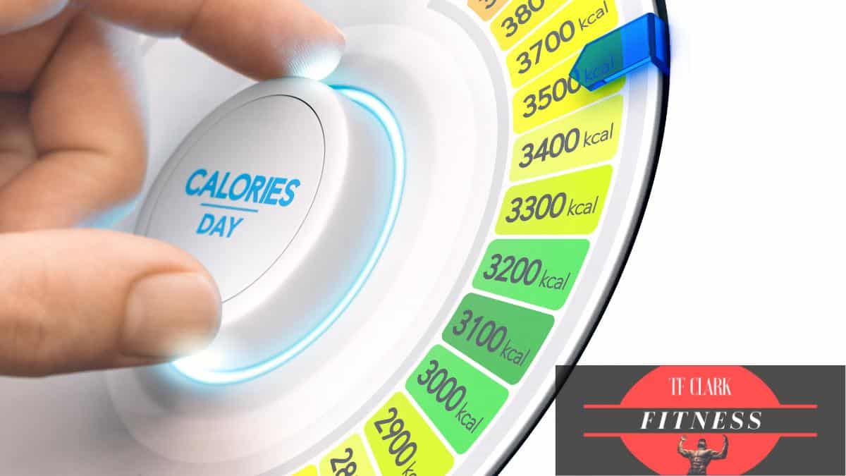 Why Calories Are King in Health and Fitness?