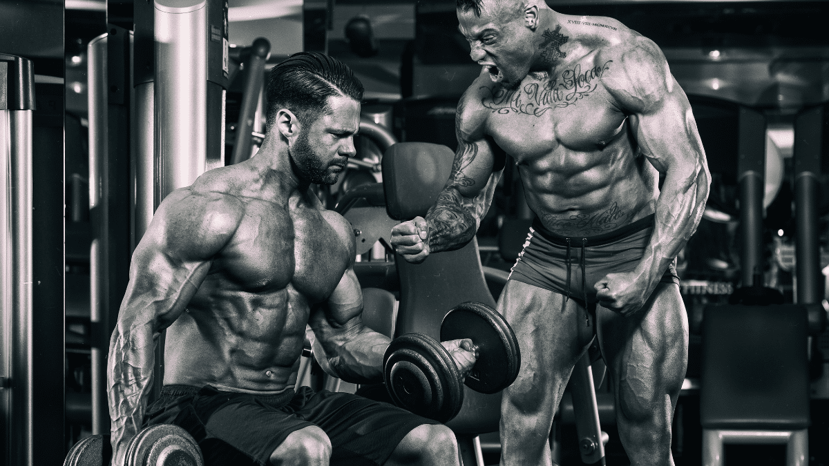 one rep max calculator, squats, deadlift, bench press