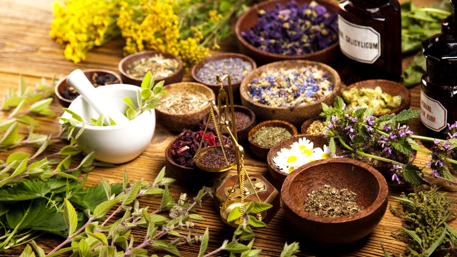 7 Anti-Inflammatory Herbs for Muscle Recovery