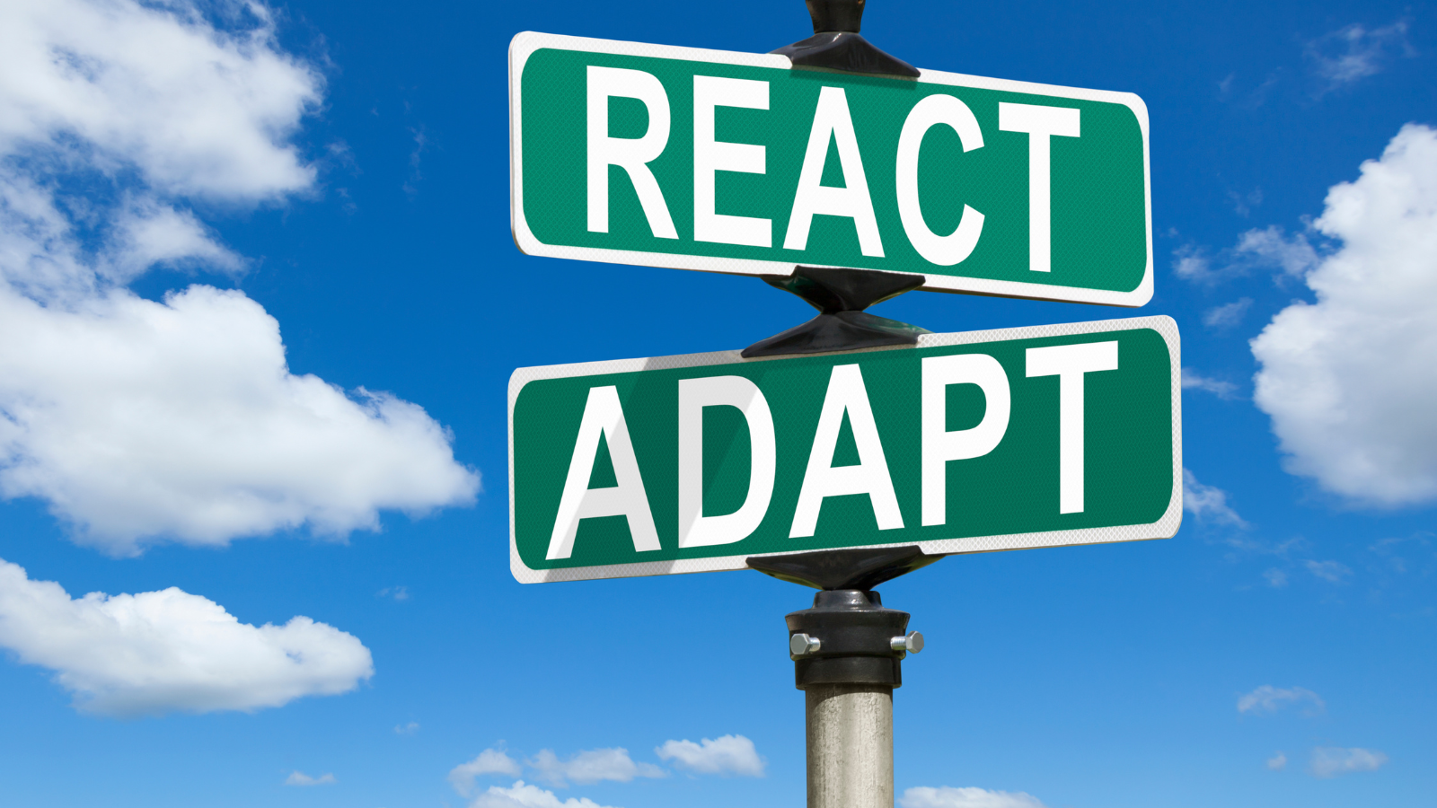 How to Use Metabolic Adaptation to Break a Weight Loss Plateau