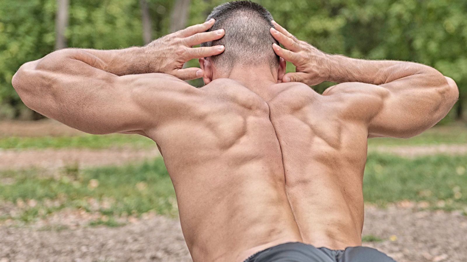 Top 3 Lower Back Exercises for Bodybuilding