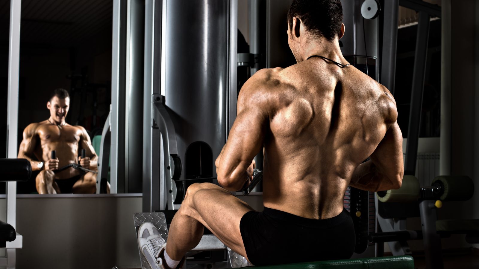 bodybuilding for beginners