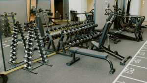 Best Workout Split for Fat Loss and Muscle Gain
