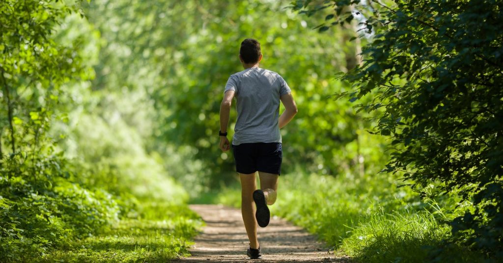 A man in shorts and a T-shirt jogs alone down a narrow trail through a green wooded area on a sunny day.