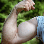 🧪 What Causes Muscle vs. Fat Gain?